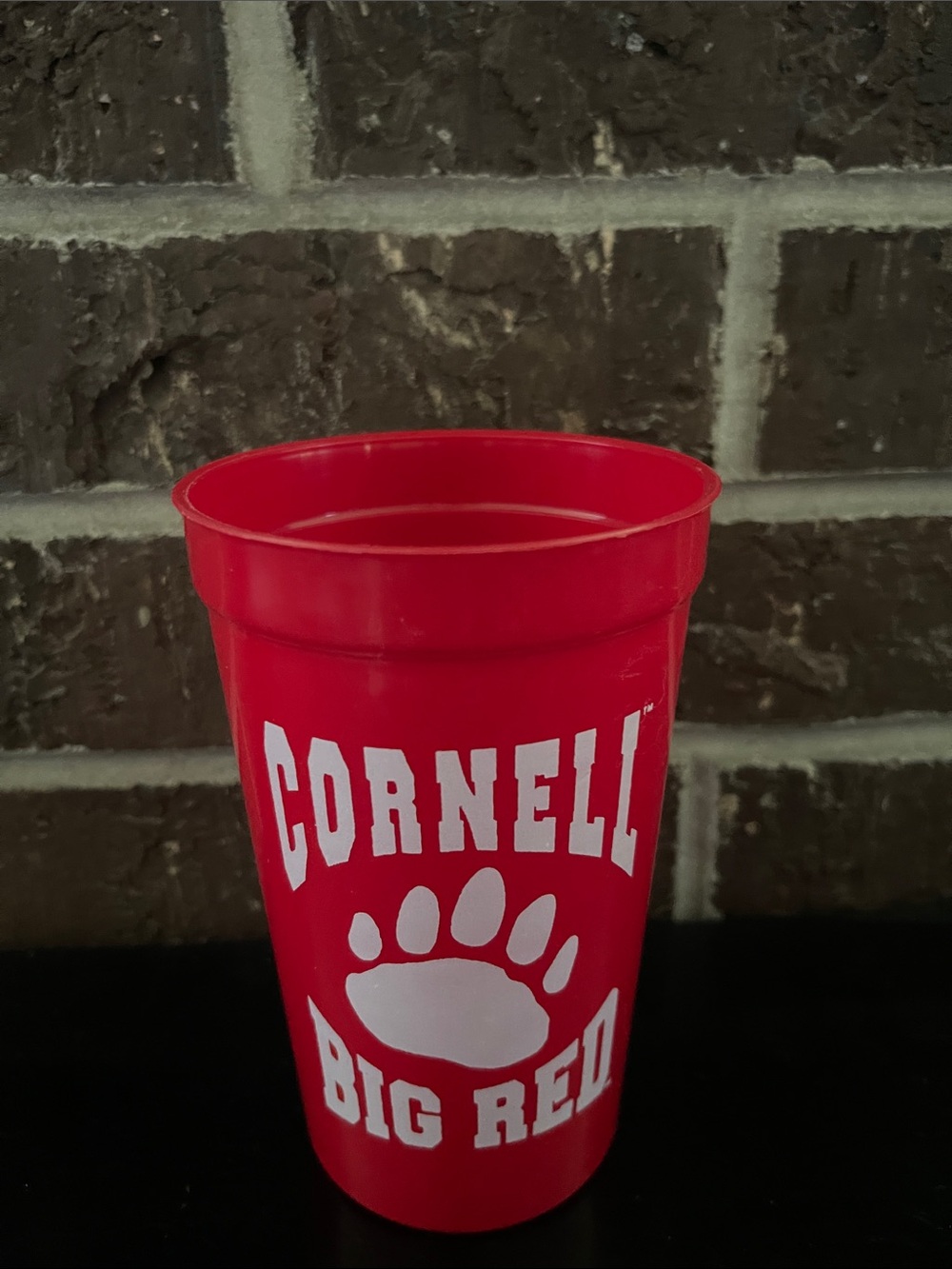 Cornell University cup